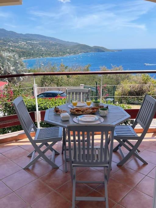 Appartement T2 Malendure Avec Vue Reserve Cousteau Bouillante